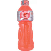 ISOTÔNICO GATORADE FRUTAS CÍTRICAS 500ML