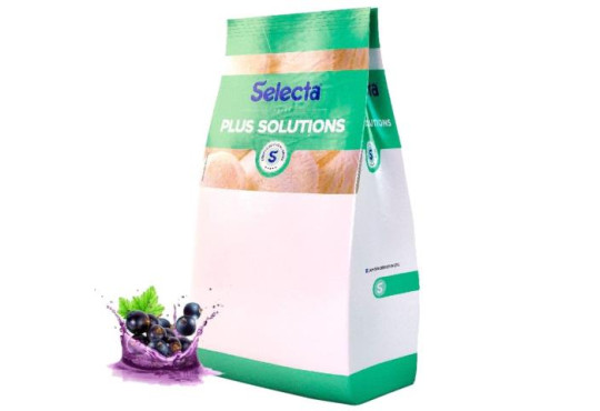 SORV. SELECTA BASE P/ACAI PLUS SOLUTIONS 1KG