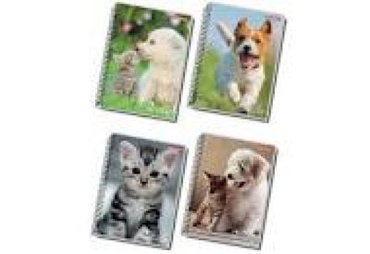 ESC. CADERNO/ ESP.C.D.10MAT CAES E GATOS 3X160FLHS PANAMERICANA REF:5130