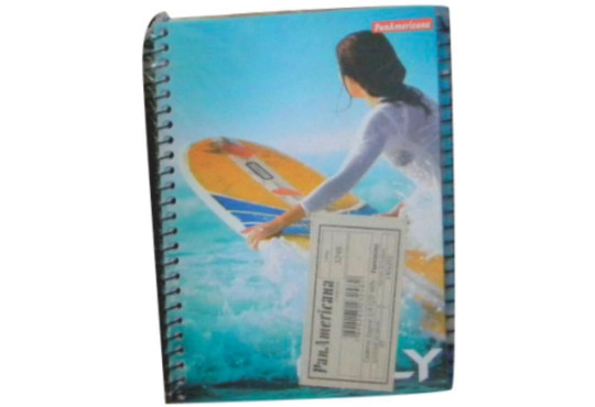 CADERNO FEM. PAN AMERICANA 96FLH