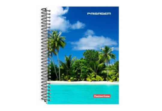 ESC. CADERNO/ ESP.C.D. 5X96FLH MASCULINO PAISAGEM 1/4 PEQ. PANAMERICANA REF: 3149